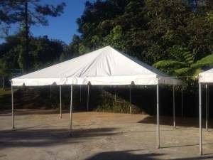 Carpa 20x20